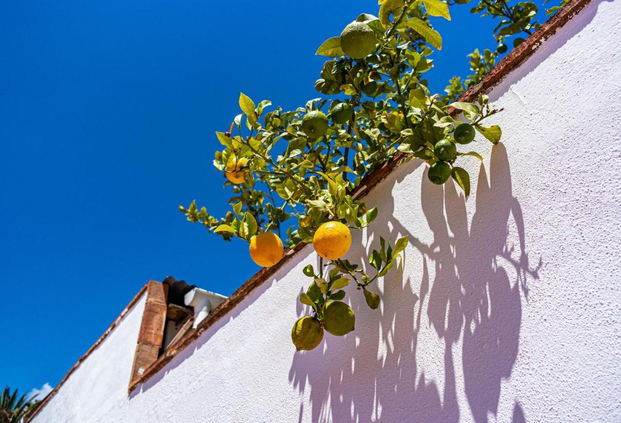 Villa Yanna ベナルマデナ エクステリア 写真