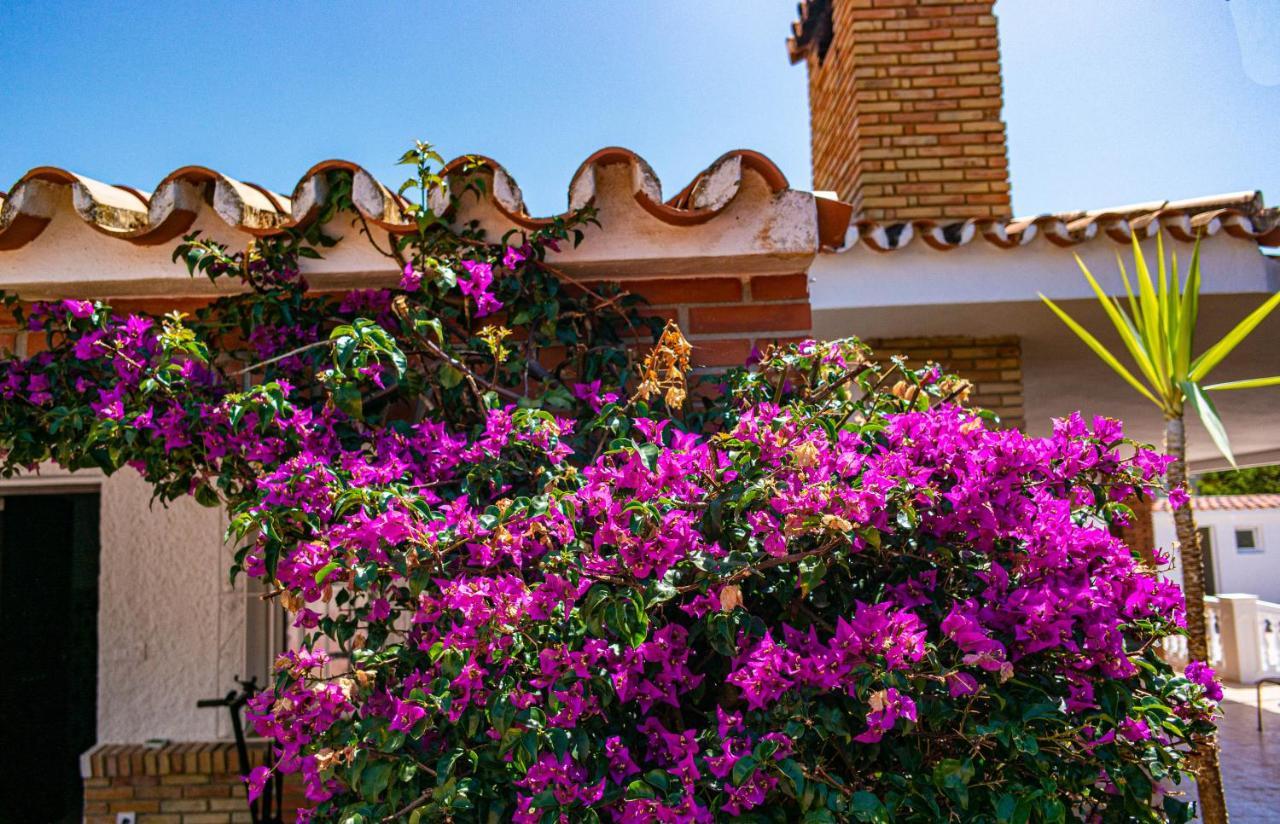 Villa Yanna ベナルマデナ エクステリア 写真